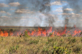 governo-do-tocantins-prorroga-suspensao-das-autorizacoes-de-queima-controlada-ate-9-de-novembro