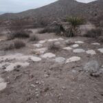 misterio-nos-eua:-como-315-pilhas-de-cinzas-humanas-foram-parar-em-deserto-de-nevada?