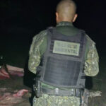 pmto-inicia-operacao-piracema-com-apreensao-de-350-kg-de-pescado-e-arma-de-fogo-em-lagoa-da-confusao