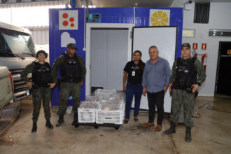 governo-do-tocantins-doa-peixes-apreendidos-em-operacao-ambiental-ao-programa-sesc-mesa-brasil