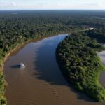 amazonia-e-cerrado-tem-dados-historicos-de-reducao-do-desmatamento