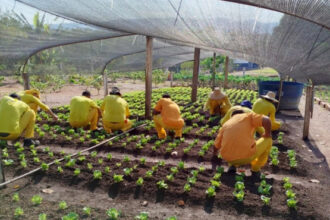 governo-do-tocantins-amplia-capacitacoes-profissionalizantes-para-fortalecer-a-ressocializacao-de-custodiados