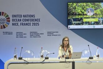especialista-da-cop30-cobra-mais-financiamento-para-oceanos