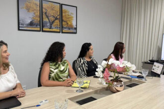 secretaria-da-mulher-integra-reuniao-nacional-para-alinhamento-de-acoes-conjuntas-em-defesa-das-mulheres