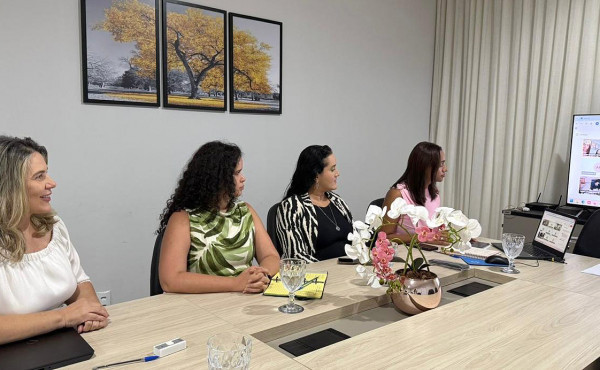secretaria-da-mulher-integra-reuniao-nacional-para-alinhamento-de-acoes-conjuntas-em-defesa-das-mulheres