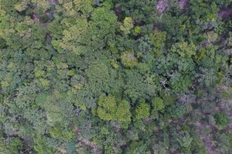 exposicao-digital-mostra-vida-nos-seis-biomas-brasileiros