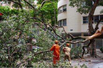 efeitos-do-ciclone:-bombeiros-atendem-mais-de-230-chamados-em-menos-de-48-horas-no-rio,-e-108-arvores-caem-na-capital