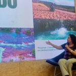 naturatins-participa-do-3o-seminario-sobre-sustentabilidade-e-inovacao-no-artesanato,-no-rio-de-janeiro