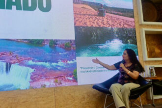 naturatins-participa-do-3o-seminario-sobre-sustentabilidade-e-inovacao-no-artesanato,-no-rio-de-janeiro