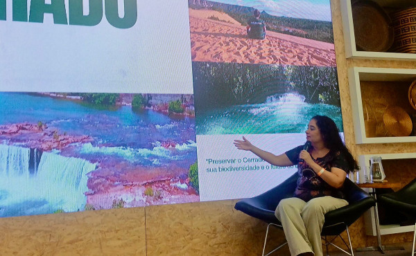 naturatins-participa-do-3o-seminario-sobre-sustentabilidade-e-inovacao-no-artesanato,-no-rio-de-janeiro
