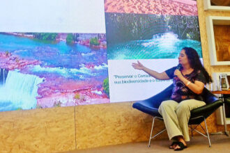 no-rio-de-janeiro,-governo-do-tocantins-participa-do-3o-seminario-sobre-sustentabilidade-e-inovacao-no-artesanato