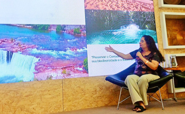 no-rio-de-janeiro,-governo-do-tocantins-participa-do-3o-seminario-sobre-sustentabilidade-e-inovacao-no-artesanato