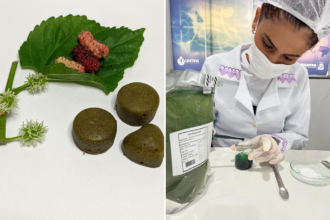 estudante-do-ifto-desenvolve-goma-de-mascar-experimental-a-base-de-amora-para-aliviar-os-efeitos-na-menopausa