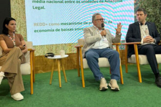 tocantins-chega-a-cop30-como-protagonista-em-sustentabilidade-e-mercado-de-carbono