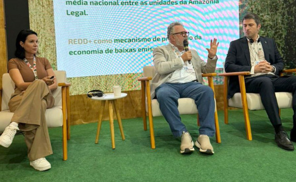 tocantins-chega-a-cop30-como-protagonista-em-sustentabilidade-e-mercado-de-carbono
