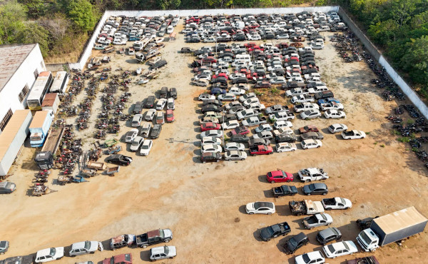 detran/to-realiza-decimo-leilao-do-ano-com-274-veiculos-em-arraias