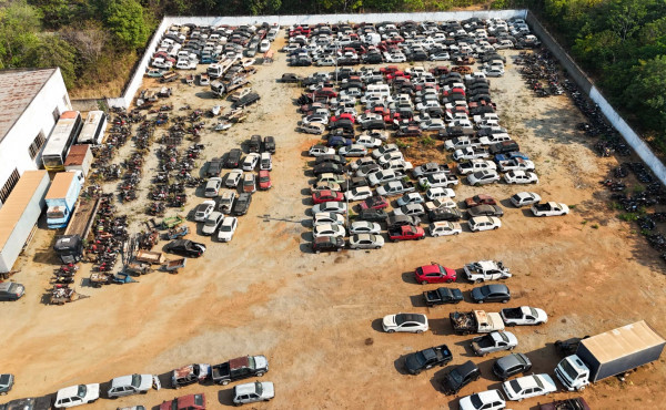 detran/to-realiza-decimo-leilao-do-ano-com-274-veiculos-em-arraias