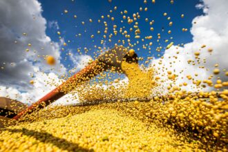 brasil-estima-colheita-de-354,8-milhoes-de-toneladas-de-graos