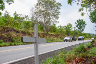 dia-mundial-em-memoria-as-vitimas-de-acidente-de-transito:-a-dor-e-a-saudade-daqueles-que-ficaram