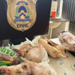 operacao-narke:-em-colmeia,-policia-civil-cumpre-mandados-e-prende-dois-homens-por-trafico-de-drogas-e-crimes-ambientais