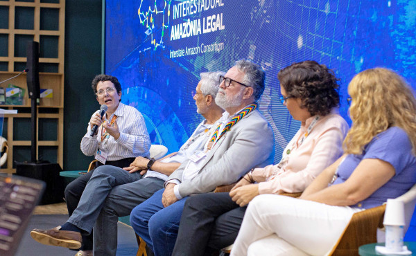 na-cop30,-governo-do-tocantins-conduz-painel-que-discute-mercado-voluntario-de-carbono-nas-iniciativas-do-jredd+