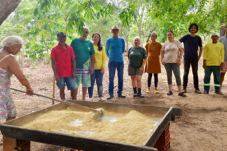 naturatins-apoia-familias-agroextrativistas-na-producao-da-farinha-de-jatoba-na-apa-do-jalapao