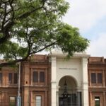 programacao-celebra-aniversarios-do-parque-da-luz-e-pinacoteca-em-sp