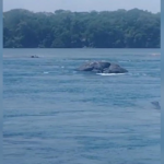 corpo-de-menino-de-12-anos-que-desapareceu-em-rio-e-encontrado-com-ajuda-de-drone