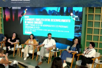 governo-do-tocantins-promove-painel-na-cop-30-sobre-desafios-entre-redd+,-agro-e-desenvolvimento-de-baixas-emissoes