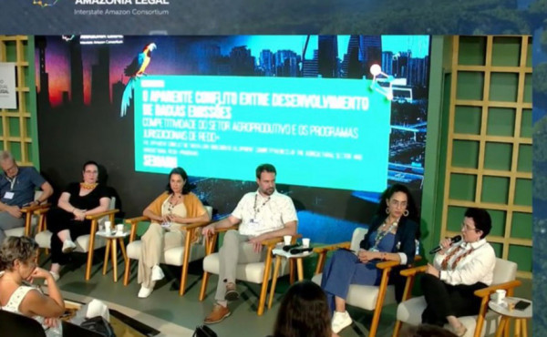 governo-do-tocantins-promove-painel-na-cop-30-sobre-desafios-entre-redd+,-agro-e-desenvolvimento-de-baixas-emissoes