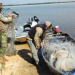 naturatins-realiza-acoes-de-conscientizacao-e-fiscalizacao-da-operacao-piracema-2025/2026