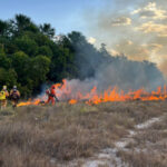 operacao-tocantins-mais-verde-fortalece-resposta-a-incendios-florestais-e-melhora-indicadores-ambientais
