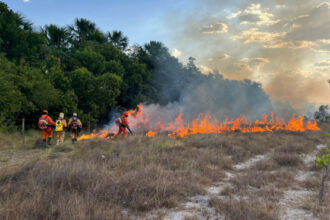 operacao-tocantins-mais-verde-fortalece-resposta-a-incendios-florestais-e-melhora-indicadores-ambientais