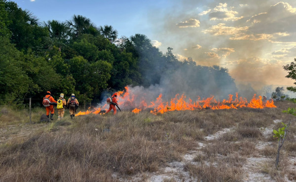 operacao-tocantins-mais-verde-fortalece-resposta-a-incendios-florestais-e-melhora-indicadores-ambientais