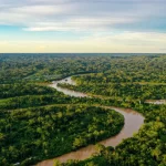 alemanha-anuncia-1-bilhao-de-euros-para-fundo-de-florestas-idealizado-pelo-brasil