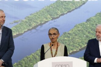 alemanha-dara-1-bilhao-de-euros-para-florestas-tropicais,-diz-marina