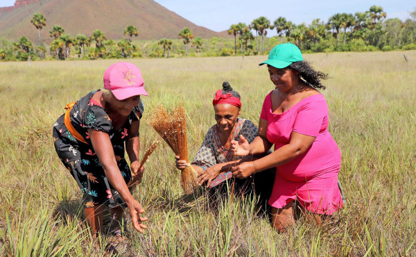 governo-do-tocantins-reforca-compromisso-com-a-igualdade-racial-e-celebra-memoria-de-resistencia-negra