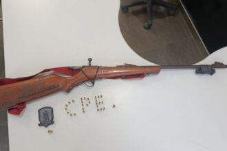 pmto-apreende-carabina,-municoes-e-prende-cacador-ilegal-em-almas