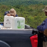 pmto-apreende-380-litros-de-agrotoxicos-transportados-ilegalmente-em-operacao-protetores-do-bioma