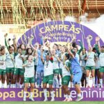 palmeiras-derrota-ferroviaria-e-conquista-copa-do-brasil-feminina