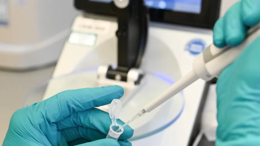 brasil-tem-17-cientistas-em-lista-dos-mais-citados-do-mundo,-1-a-mais-do-que-em-2024