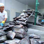 tocantins-registra-a-segunda-menor-taxa-de-desemprego-da-regiao-norte