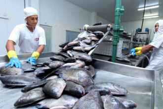 tocantins-registra-a-segunda-menor-taxa-de-desemprego-da-regiao-norte