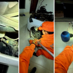 bombeiros-resgatam-jiboia-escondida-em-motor-de-carro-estacionado-na-garagem-de-casa