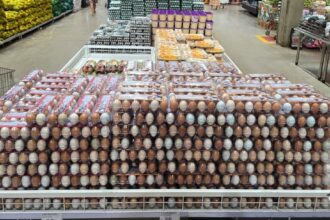 do-campo-ao-prato:-o-agro-tocantinense-garante-o-alimento-de-todos-os-dias