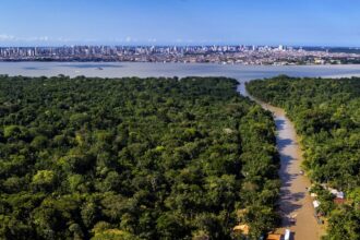 cop30-consolida-novo-patamar-do-turismo-no-brasil,-avalia-sabino