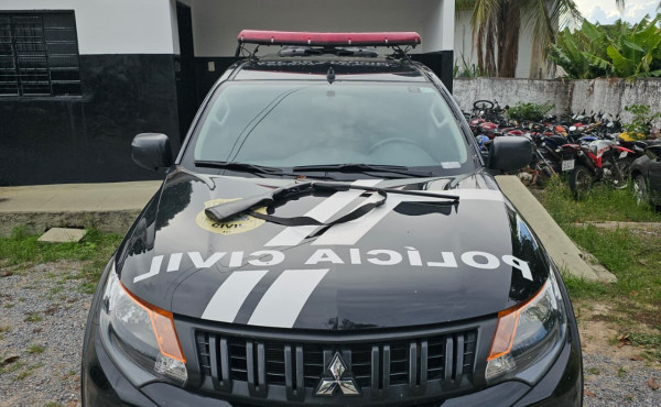 em-arraias,-homem-e-preso-pela-policia-civil-por-violencia-psicologica-no-contexto-de-violencia-domestica-e-posse-irregular-de-arma-de-fogo