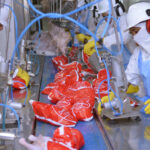 com-agro-e-industria-em-alta,-pib-do-tocantins-cresce-e-coloca-o-estado-em-2o-lugar-no-pais-em-taxa-media-de-crescimento-anual