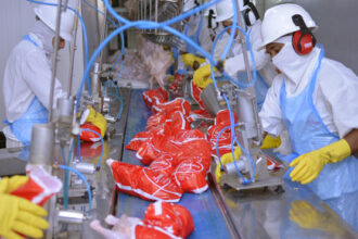 com-agro-e-industria-em-alta,-pib-do-tocantins-cresce-e-coloca-o-estado-em-2o-lugar-no-pais-em-taxa-media-de-crescimento-anual