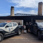 policia-civil-do-tocantins-incinera-cerca-de-300-kg-de-drogas-apreendidas-na-regiao-sul-do-estado